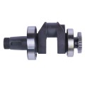 Ansamblu arbore cotit TTG pentru motor diesel 190N, cu rulmenti 2 buc. si angrenaje