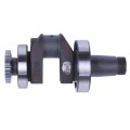 Ansamblu arbore cotit TTG pentru motor diesel 190N, cu rulmenti 2 buc. si angrenaje