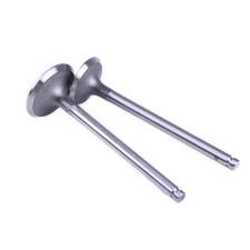 Supape, L-120 mm, set 2 buc. - Zubr - 195N