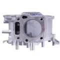 Bloc motor 65 mm - P65F (ZS)