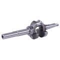 Ansamblu arbore cotit TATA pentru motor pe benzină P65/70F (ZS)