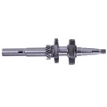 Ansamblu arbore cotit TATA pentru motor pe benzină P65/70F (ZS)