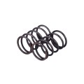 Arcuri supape, set: 2 buc. - P65F (ZS)