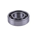 Rulment arbore cotit 6205 TATA pentru motor pe benzina P70F