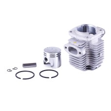 Поршневая (ЦПГ) TT AGRO MOTO 33 мм на бензиновый опрыскиватель, к-т: 7 единиц