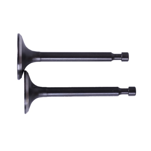 Supape TATA pentru motor pe benzină P70F (ZS) Supape TATA pentru motor pe benzină P70F (ZS)