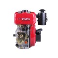 Motor diesel 173D TATA (cu iesire arbore pentru caneluri, 25 mm) 5 CP