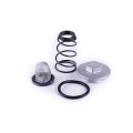Dop de golire ulei TATA pentru motor pe benzină SV-250SS