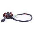 Ancoră generator TATA pentru motor SV-250SS (motocicletă)