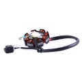 Ancoră generator TATA pentru motor SV-250SS (motocicletă)