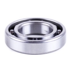 Rulment arbore de intrare 6006/P6 SV-250SS