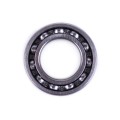 Rulment arbore de intrare 6006/P6 SV-250SS