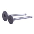 Supape TATA pentru motor diesel 170D (2 buc)