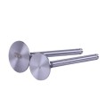 Supape TTG pentru motor diesel 190N, set: 2 buc.
