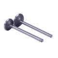 Supape TTG pentru motor diesel 190N, set: 2 buc.