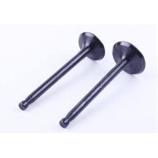 Supape, set: 2 buc. - ZS/ZH1100