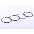 Inele 100,00 mm STD, set pentru 1 piston - ZS/ZH1100