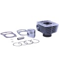 Piston (CPG) 61 mm TATA pentru motor pe benzină SV-150, set: 11 unități Piston (CPG) 61 mm TATA pentru motor pe benzină SV-150, set: 11 unități