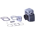 Piston (CPG) 61 mm TATA pentru motor pe benzină SV-150, set: 11 unități Piston (CPG) 61 mm TATA pentru motor pe benzină SV-150, set: 11 unități