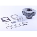 Piston (CPG) TATA 62 mm pentru motor pe benzină SV-150, set: 11 unități