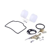 Kit complet reparatie carburator TT AGRO MOTO pentru moped Alfa, set: 15 buc.
