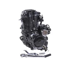 Motor CG300-2 TT AGRO MOTO pentru motocicleta, 170MM (racit cu apa, benzina)