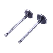 Клапаны TT AGRO MOTO на дизельный двигатель 190N, к-т: 2 шт.