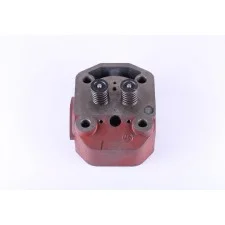 Ansamblu chiulasa TT AGRO MOTO 195N ZUBR pentru tractor cu motor (pentru duza 21 mm)